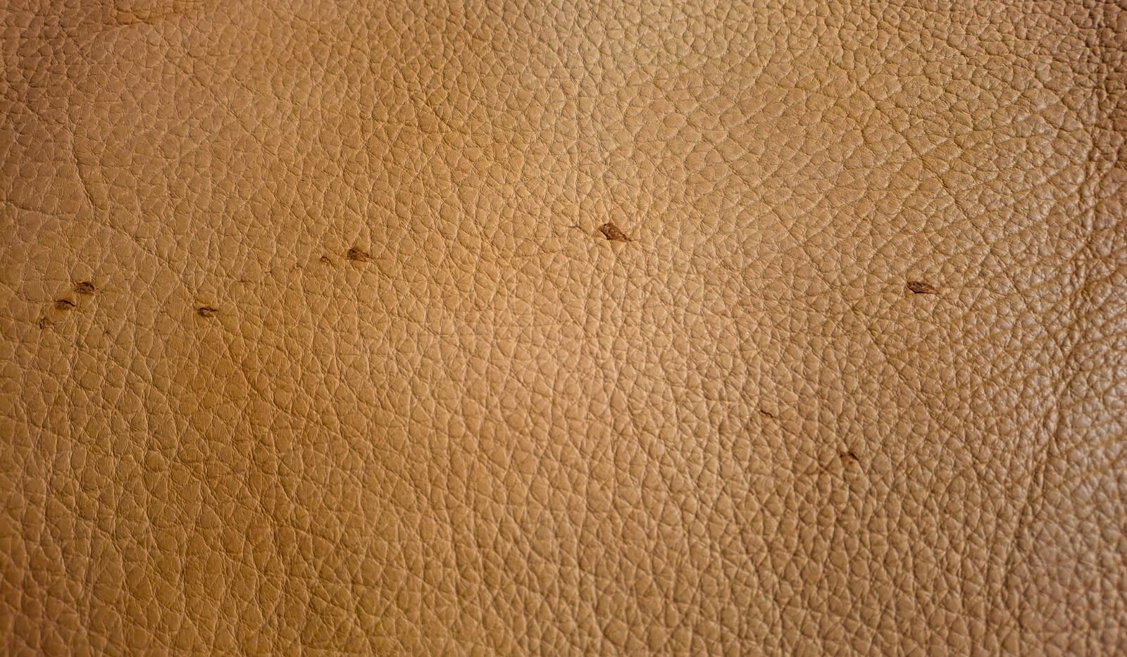 Soft leather grain variation and natural surface marks