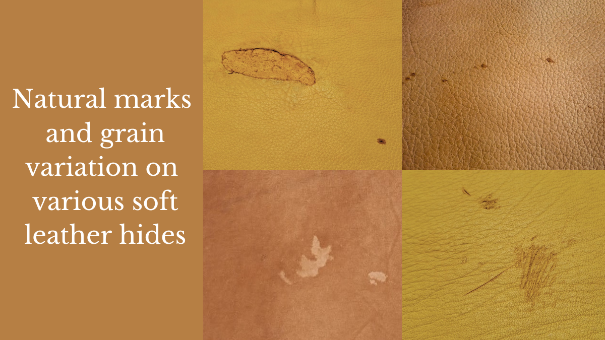 Natural marks and grain variation in soft leather hides